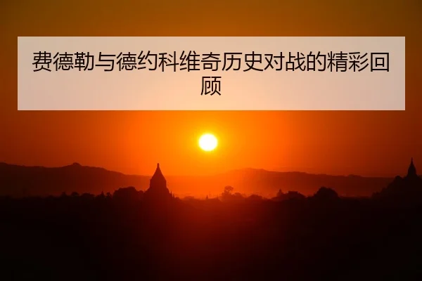 fei-de-lei-yu-de-yue-ke-wei-qi-li-shi-dui-zhan-de-jing-cai-hui-gu-2-169.jpg