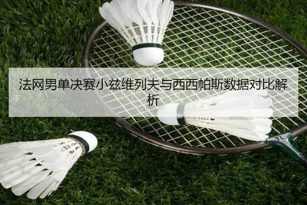 fa-wang-nan-dan-jue-sai-xiao-zi-wei-lie-fu-yu-xi-xi-pa-si-shu-ju-dui-bi-jie-xi-2-388.jpg
