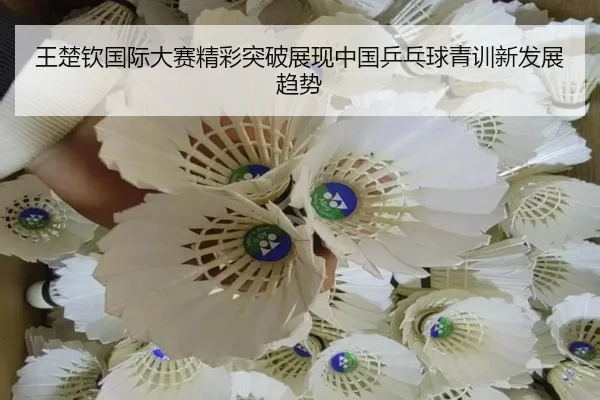 王楚钦国际大赛精彩突破展现中国乒乓球青训新发展趋势 - 365 Sports